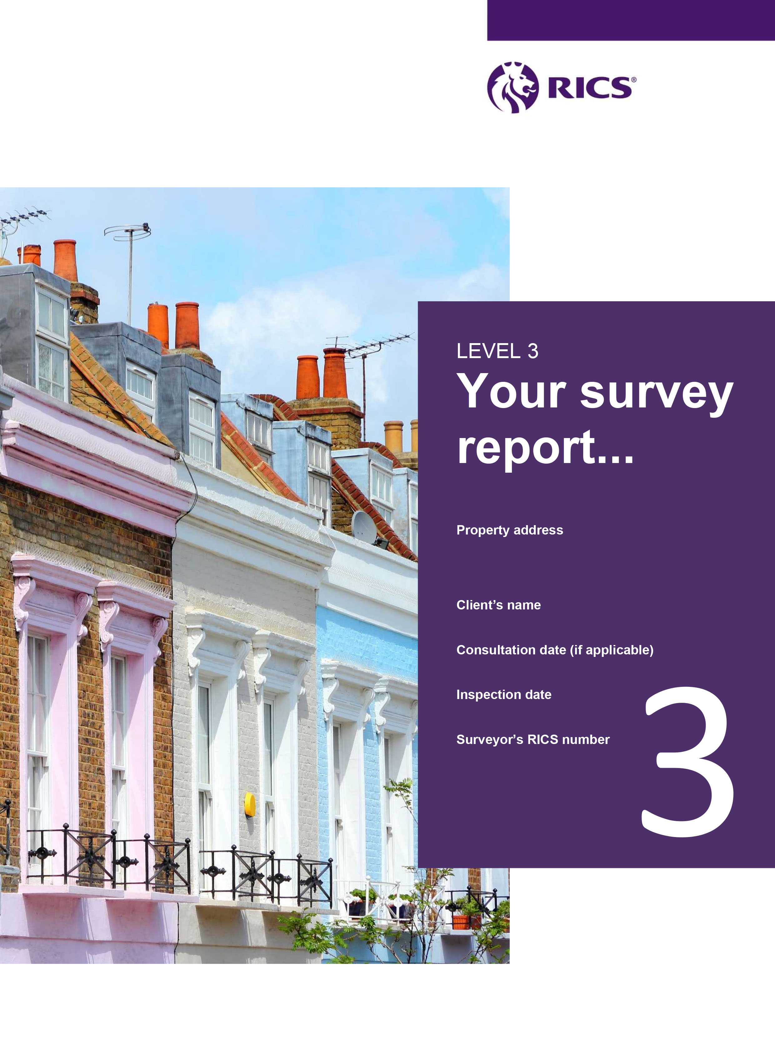 Building Survey Example Report