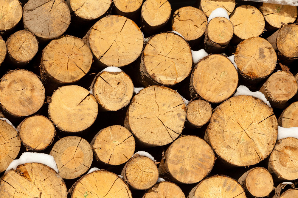 Wood logs with a little snow on them