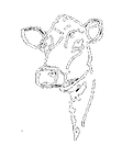 logo_textdairysymp.png