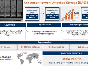 Consumer Network Attached Storage (NAS) Market Analysis by Application and End-Use