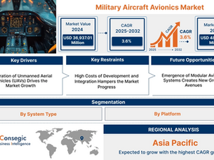 Military Aircraft Avionics Market Analysis and Industry Opportunities