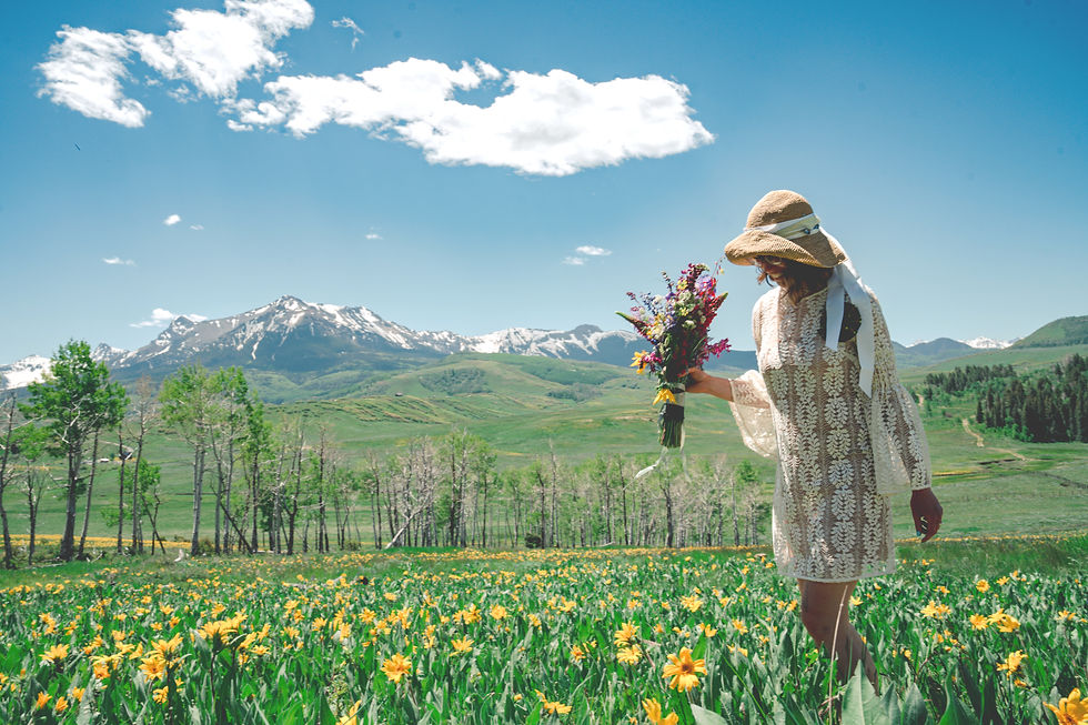 A bride walking through a field of yellow flowers with her bouquet. There is a beautiful snowy mountain in the background, located in a hidden location in Telluride Colorado off Last Dollar Road