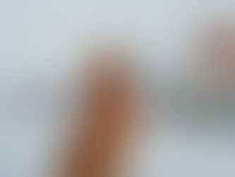 Paws, Look, Listen: Capturing the Magic of Now