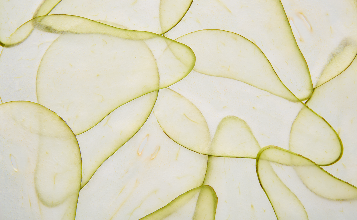 Free de Hippo - Macro - Luiza Bongir7255 copy.tif