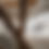Thumbnail: Cheetah Swaddle