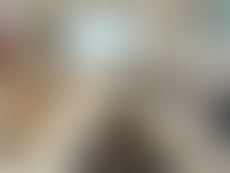 Mersea Beach Hut 213