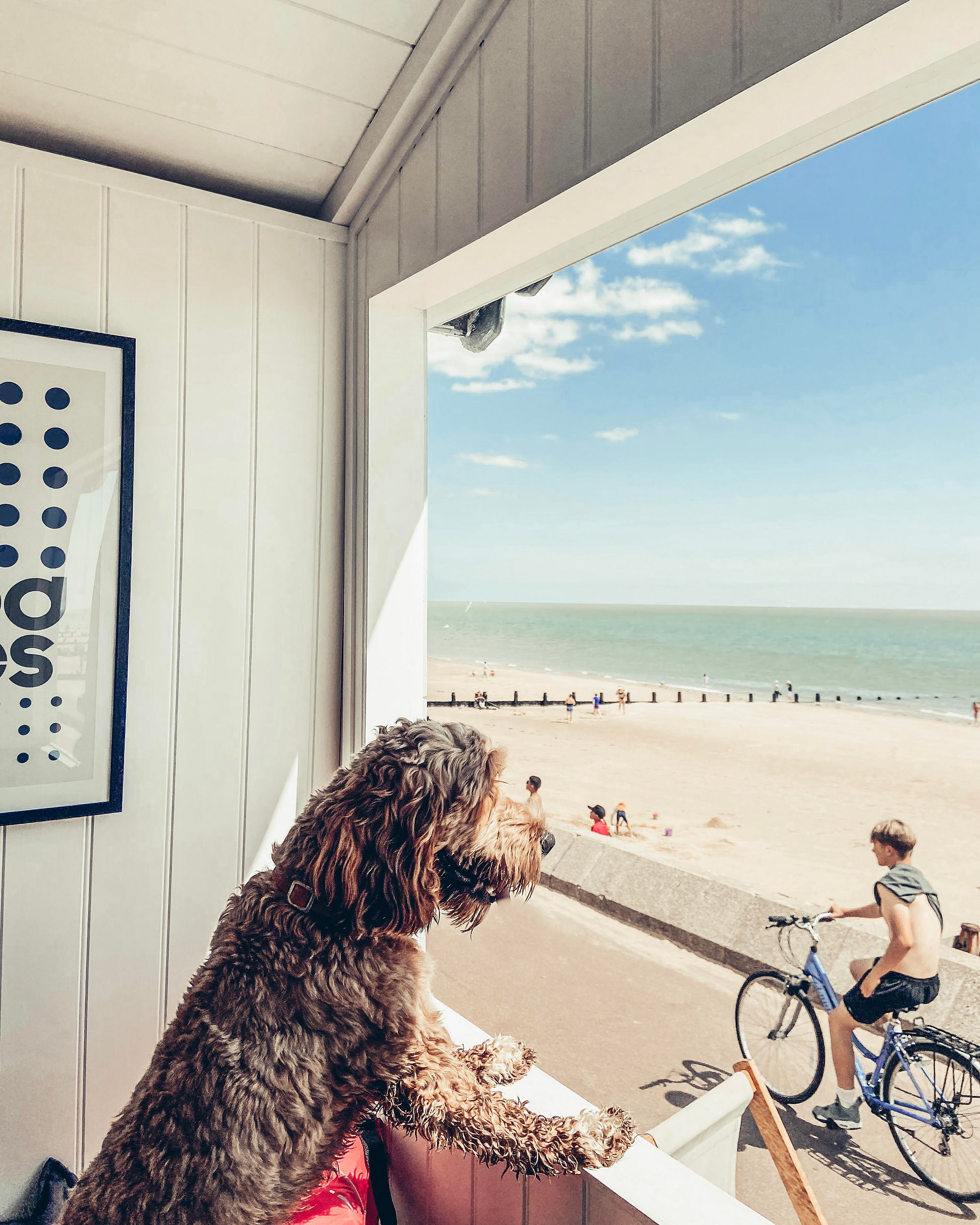 Top Beach Hut Hire Dates - Cool Coastal Huts, Best beach hut hire Essex, beach huts for hire frinton, beach huts for hire mersea, dog friendly beach huts