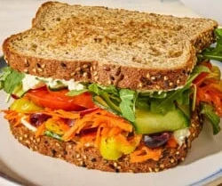 Vegetable Sandwich image