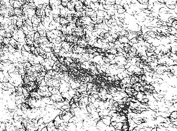 pattern8.jpeg
