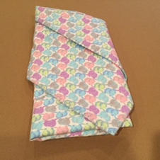 $10 "Elephants in Line"