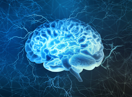 How is the ADHD brain different?