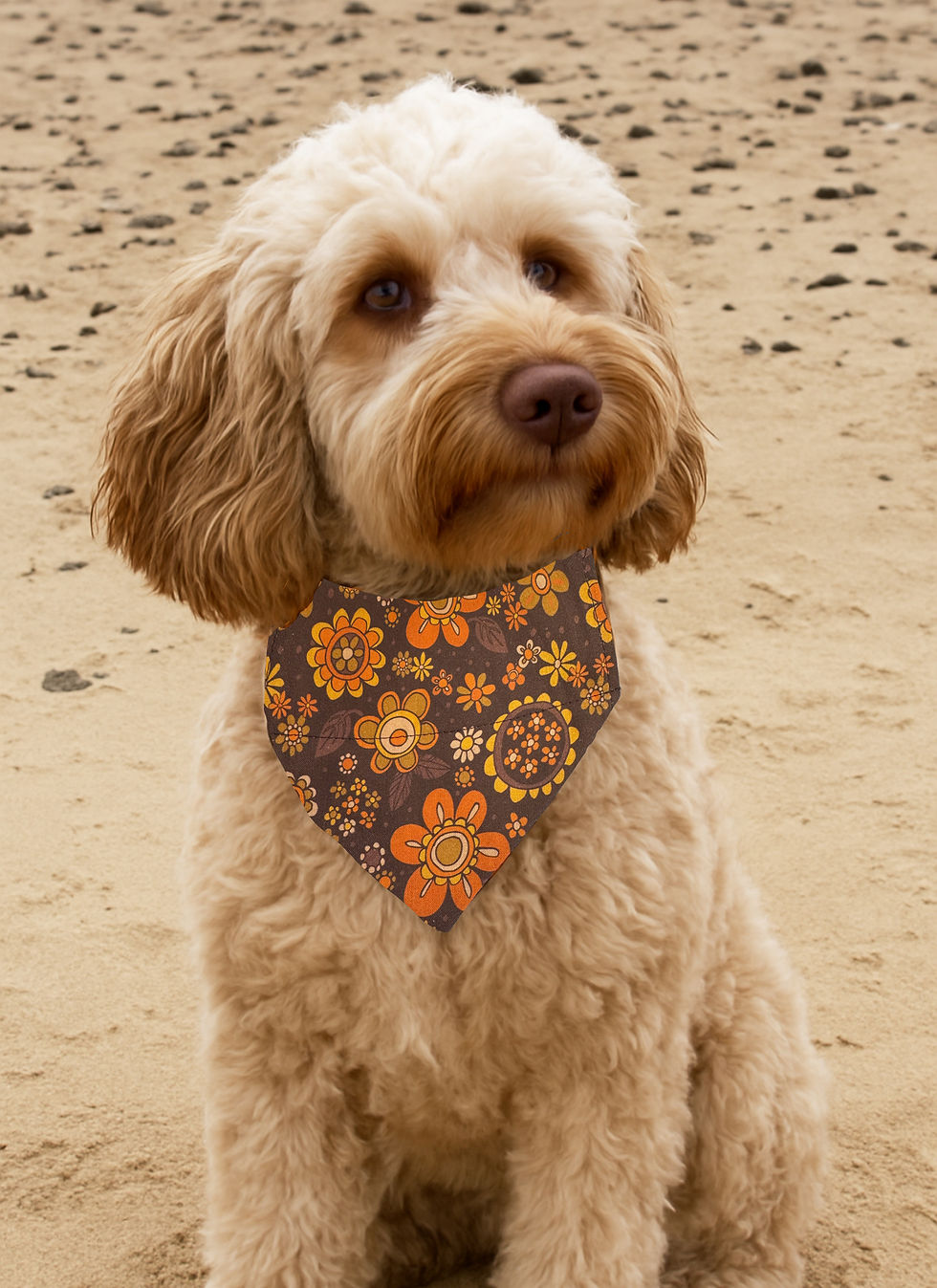 Miniaturebillede: 70's Floral Dog Bandana