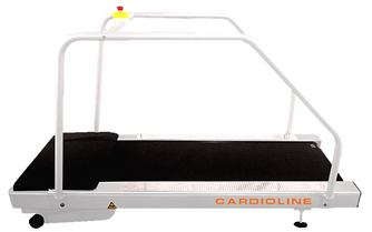 xr450r Ergómetro de banda de grado médico 20Km/h + 20% elevación.