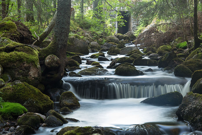 AdobeStock_106934964.jpeg