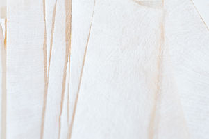 neutral paper with lines.jpg
