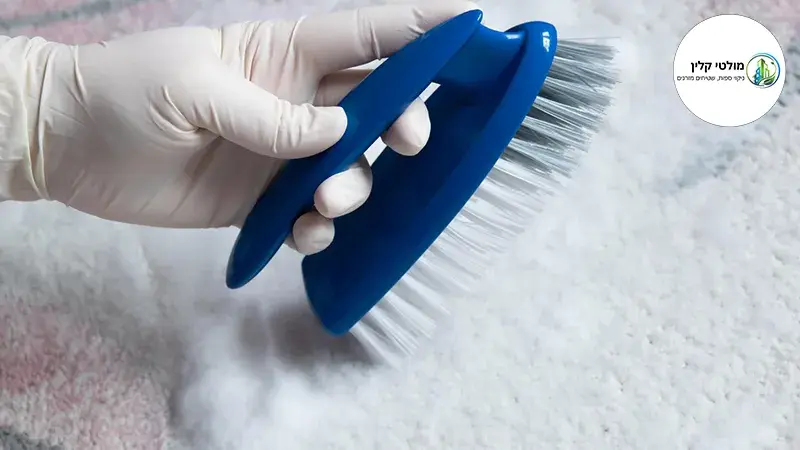 שטיפת שטיחים הרצליה