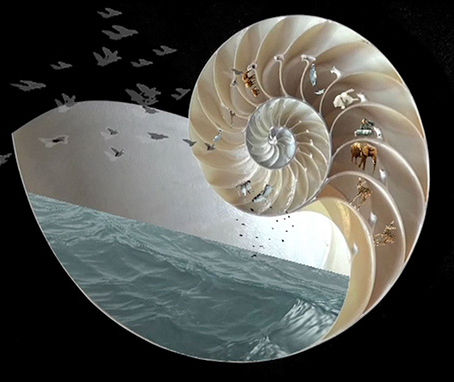 Mount Holyoke College Art Museum exhibition