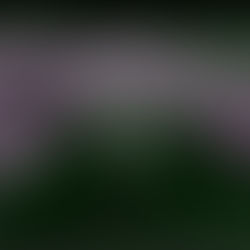 Thank You to Streaming Museum’s Global Network of Collaborators