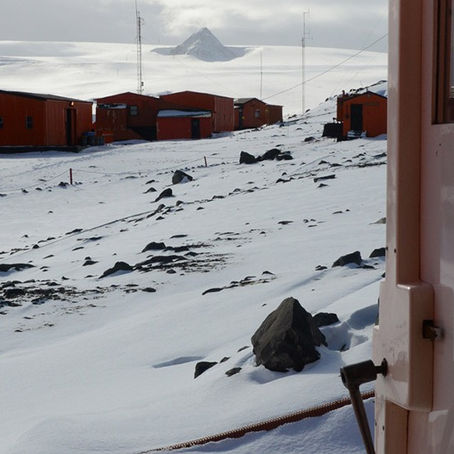 Neuroscience and the physical realm