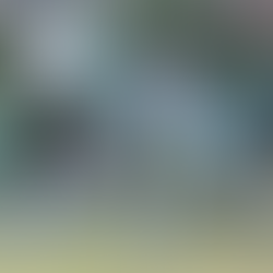 China: From Art Superstar to Political Superpower?