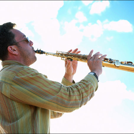 Synergized: nature, music and art by Jaron Lanier, David Rothenberg, Scanner, Tereza Stehlikova