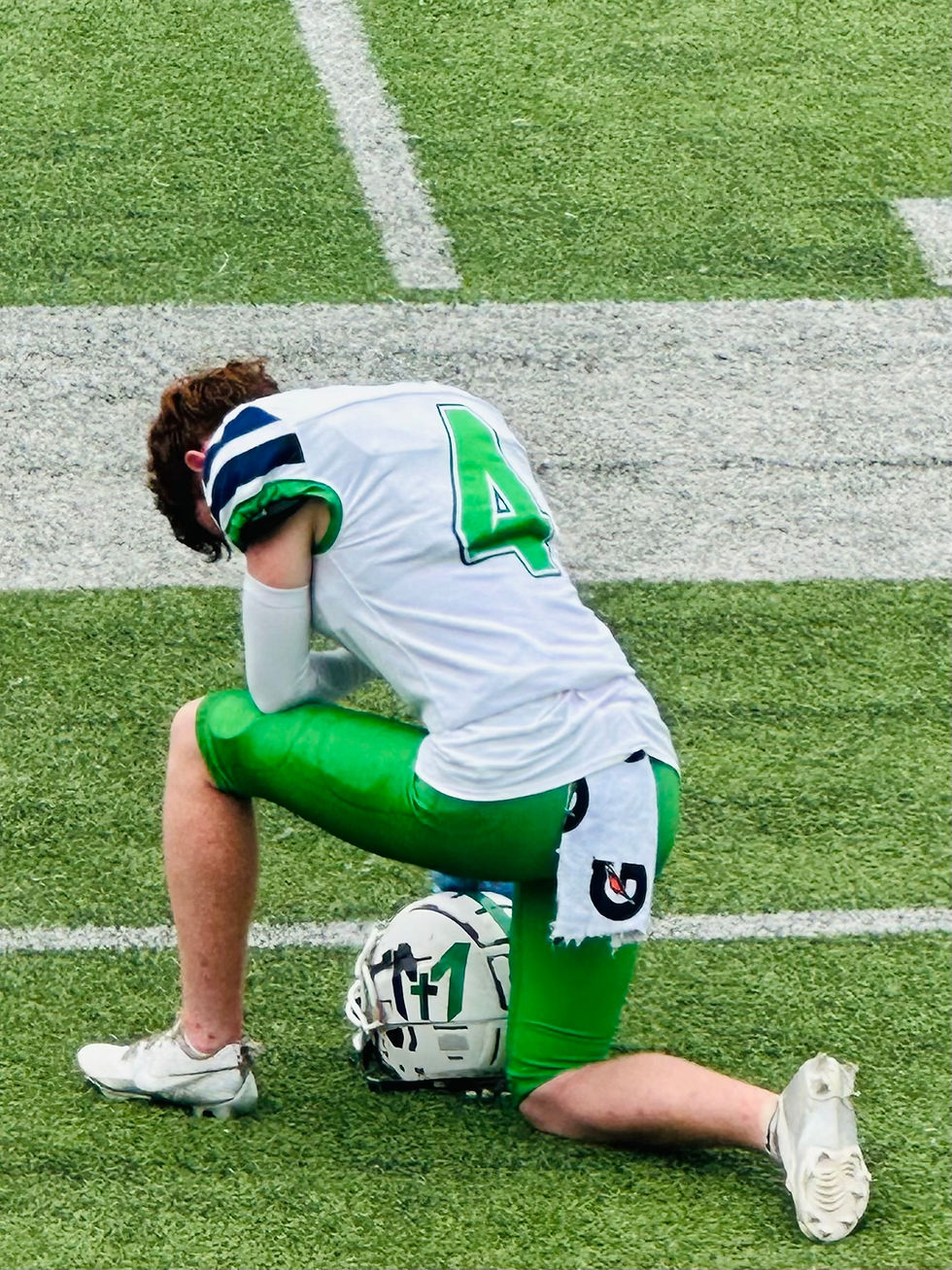 IMG_8317.jpg