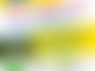 Archiv: 1. Hirschhorner Schlossfest