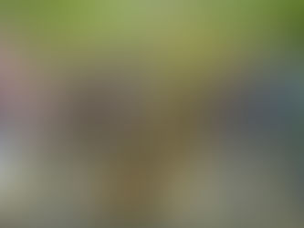 ARCHIV//Musica Valcamonica: FLEADH - Irish Folk