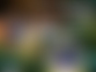 ARCHIV//Sommersonnenwende auf der Himmelswiese mit Choro do Neckar & artArtistica