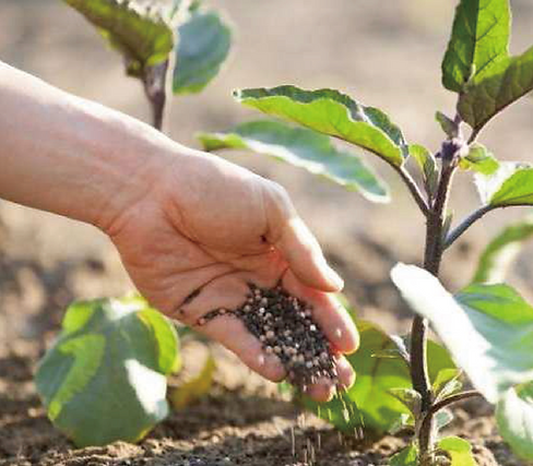 スクリーンショット 2025-04-23 10.31.10.png