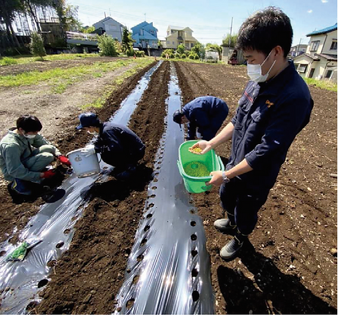 スクリーンショット 2025-04-23 10.31.01.png