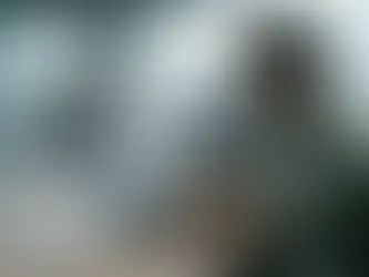 Pessoa acessando o Registrato do Banco Central no computador para verificar dados financeiros