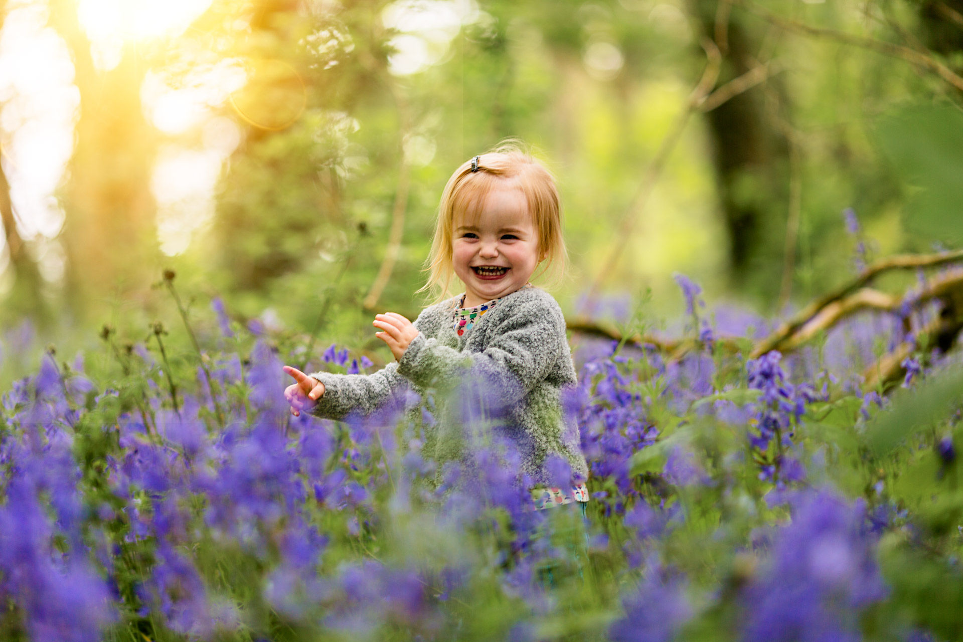 Cornwall Photographer bluebells
