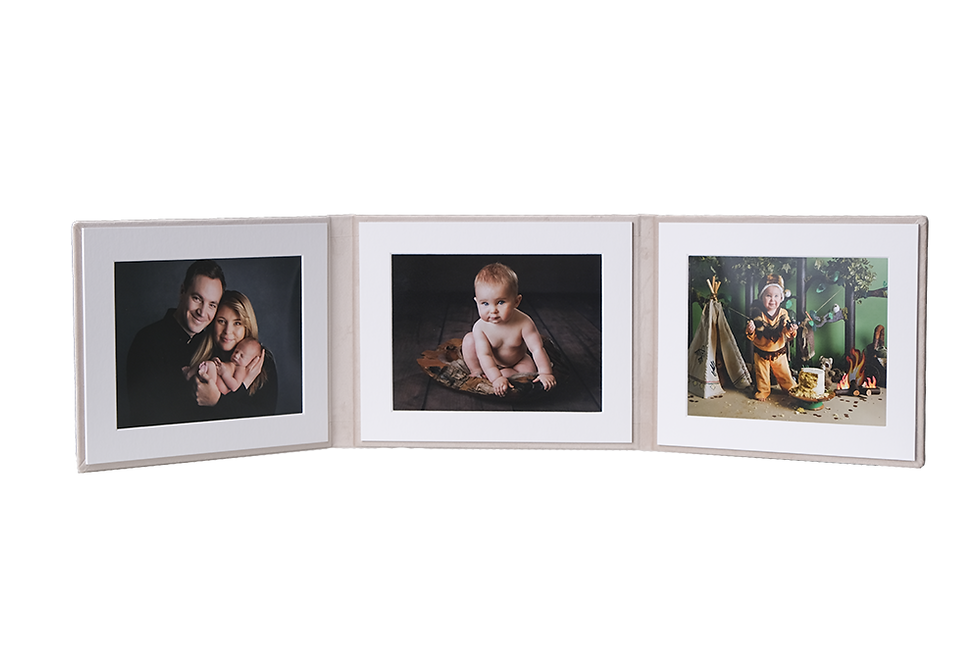 8x6 print folio featuring newborn, sitter session and cakesmash