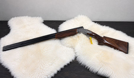 Skotsýn Receives the First Shipment from Rizzini
