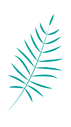 leaf_edited.png