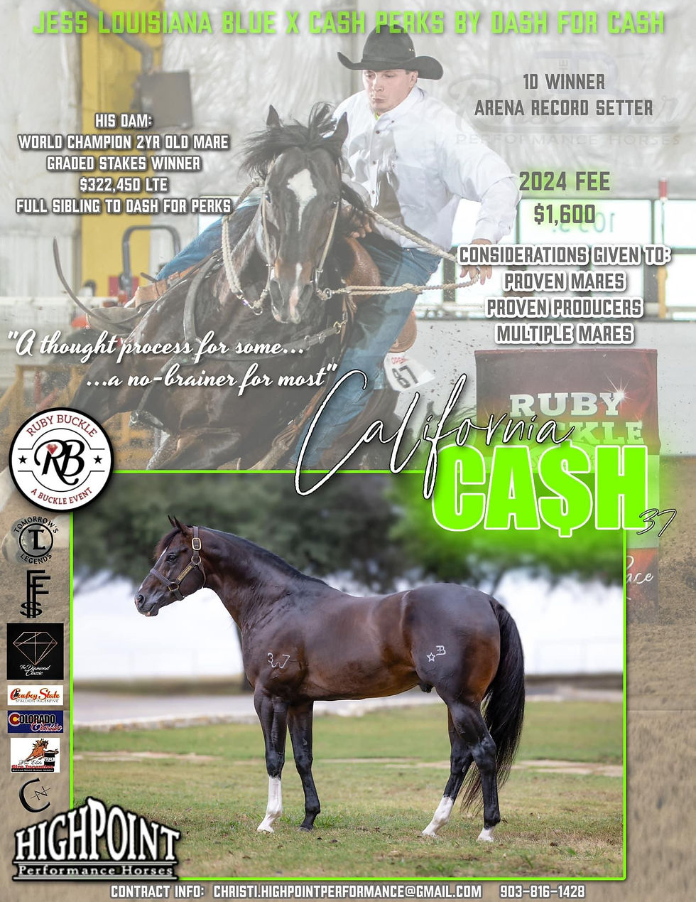 Thumbnail: California Cash 37 x Golden Spin Doc