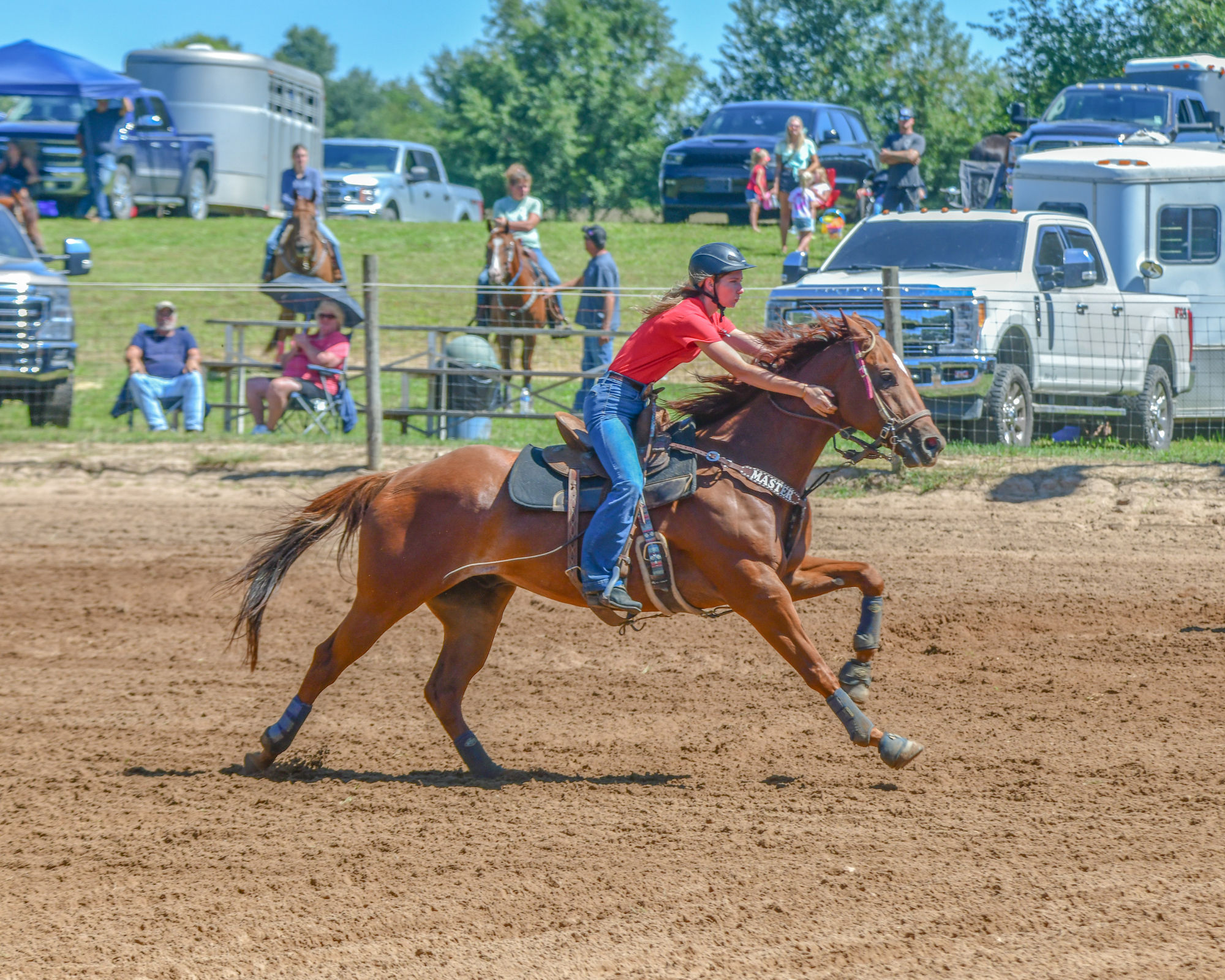 UndniablyStriking - Gelding