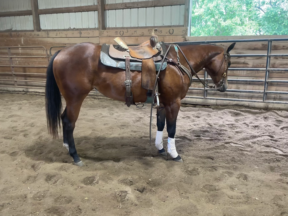 Thumbnail: SOLD Fire Miss Jet - Mare