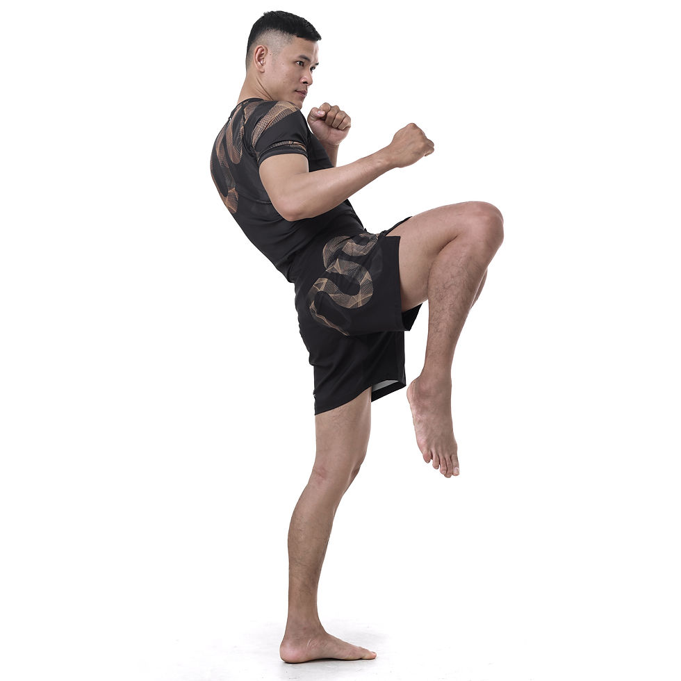 Hình thu nhỏ: QUẦN GRAPPLING GOLDEN SNAKE