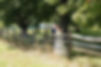 Matthew & Kirsten Color (97).jpg
