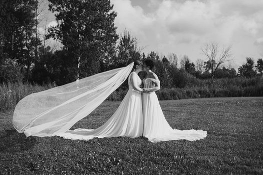 Buffalo Wedding