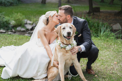 Buffalo Wedding