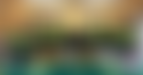 AFPFC MPC visits Mun. Gov’t of San Manuel, Tarlac