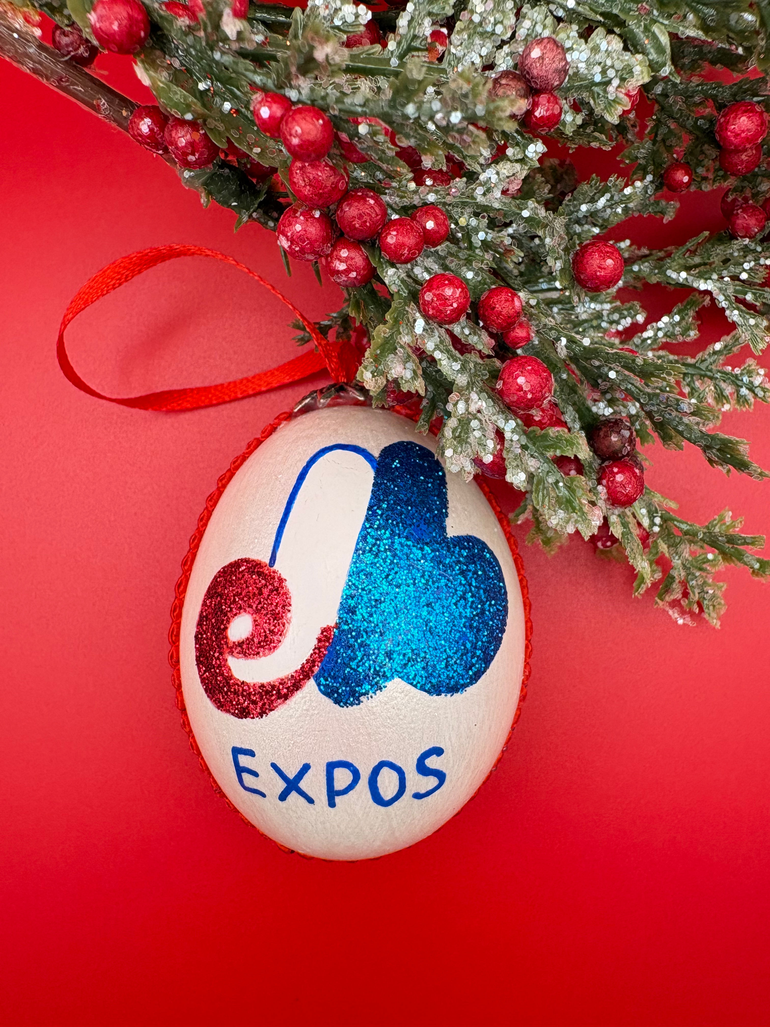 Montreal Expos Christmas Tree Ornament Real egg ornament