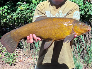 Great to see catch reports coming in……….