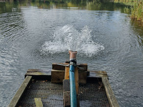Temporary Oxygenation In Place