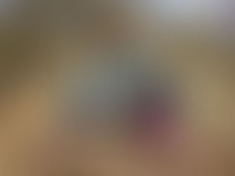 Societies 50th Anniversary Marked