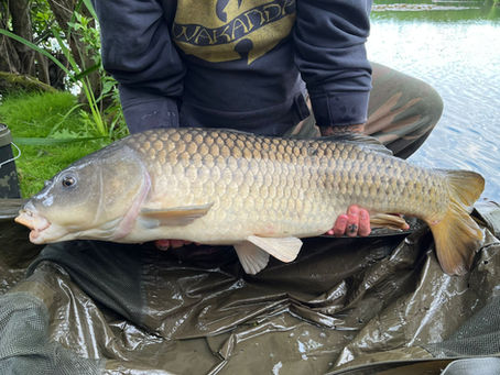 Catch Report from Denny Lake, Pit 4