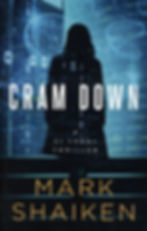 LEGAL THRILLER